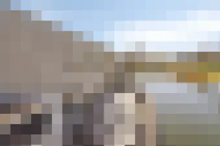 Pluuthaven 8 Zeewolde thumbnail 51