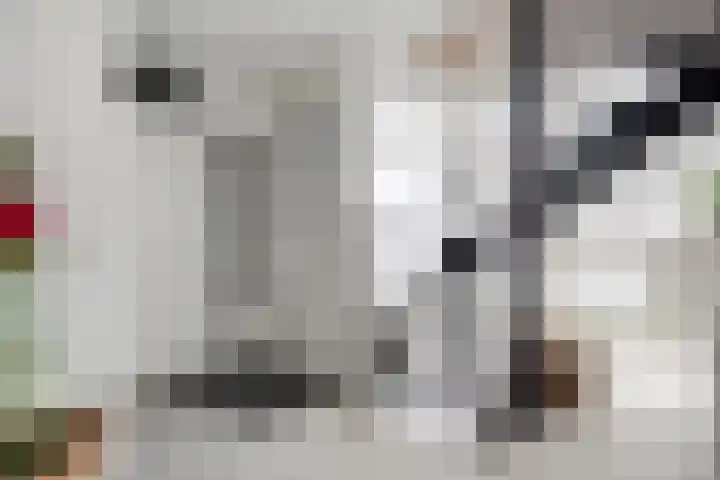 Pluuthaven 8 Zeewolde thumbnail 7