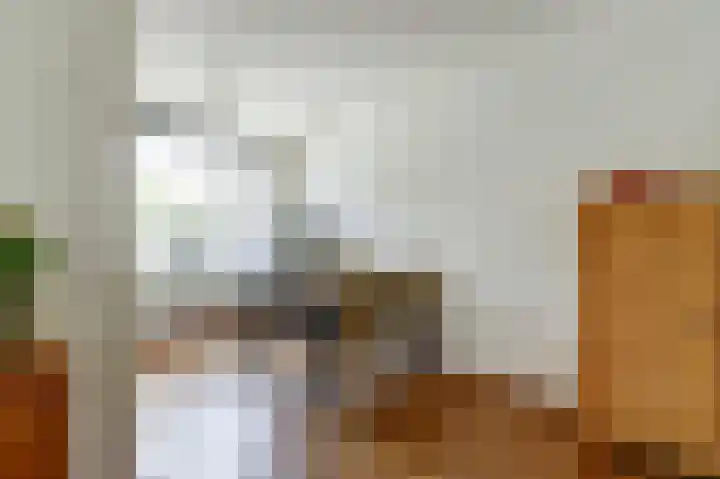 Pluutwerf 22 Gouda thumbnail 12