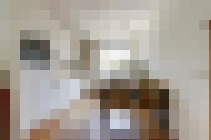 Pluutwerf 22 Gouda thumbnail 13