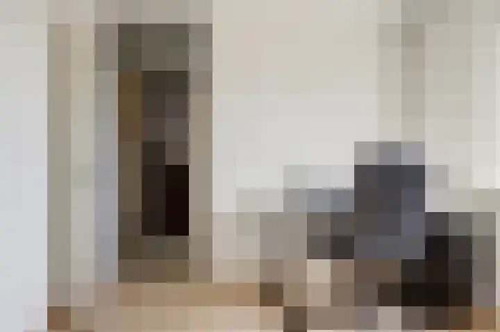 Pluutwerf 22 Gouda thumbnail 19