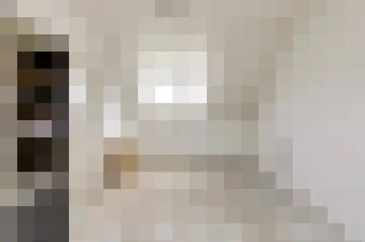 Pluutwerf 22 Gouda thumbnail 24