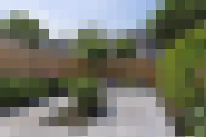 Pluutwerf 22 Gouda thumbnail 29