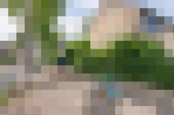 Pluutwerf 22 Gouda thumbnail 34