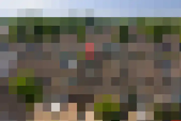 Pluutwerf 22 Gouda thumbnail 35