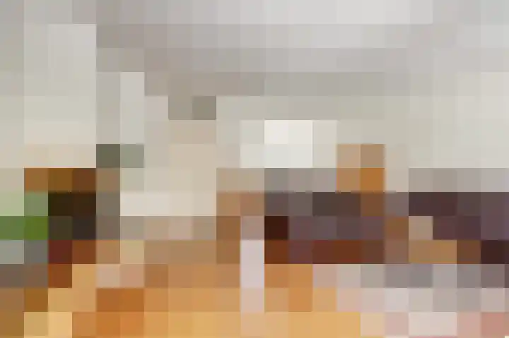 Pluutwerf 22 Gouda thumbnail 4