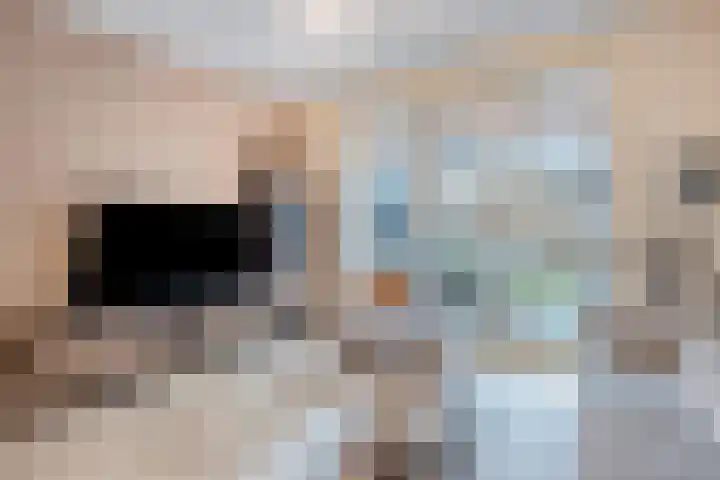 Podium 25 Oss thumbnail 9