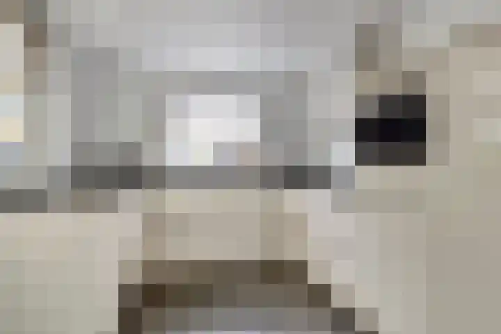 Poeldrik 3 Bemmel thumbnail 12