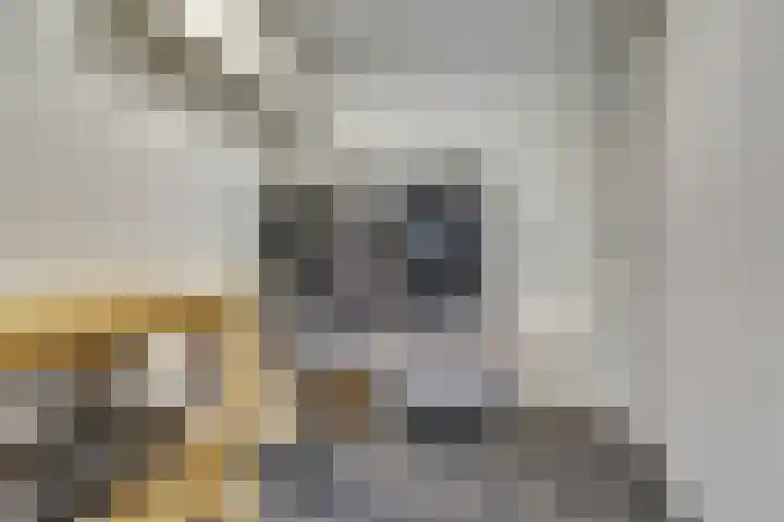 Poeldrik 3 Bemmel thumbnail 15