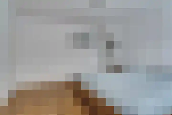 Poeldrik 3 Bemmel thumbnail 18