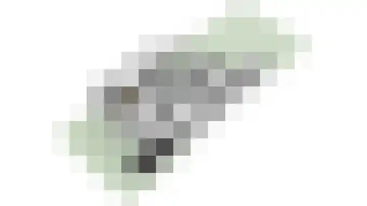 Poeldrik 3 Bemmel thumbnail 42