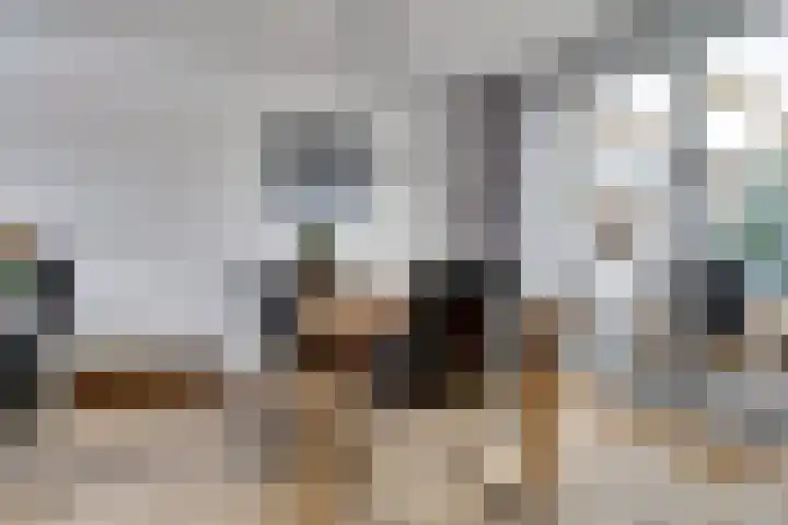 Poeldrik 3 Bemmel thumbnail 7