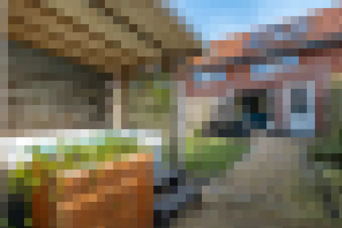 Poelenburg 10 Obdam thumbnail 59