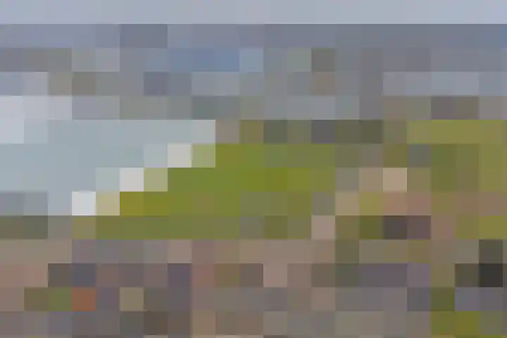 Poelkade 6 's-Gravenzande thumbnail 11