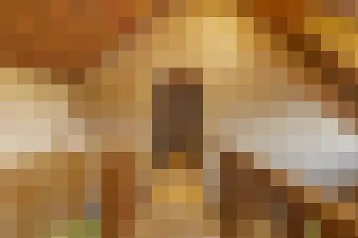 Poelkade 6 's-Gravenzande thumbnail 7