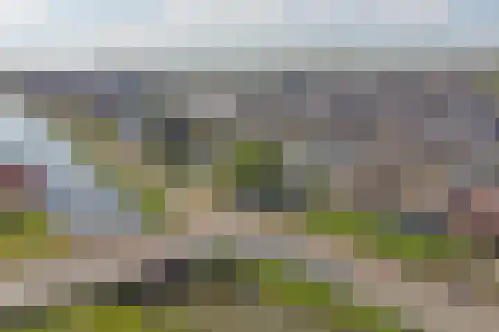 Poelkade 6 's-Gravenzande thumbnail 9