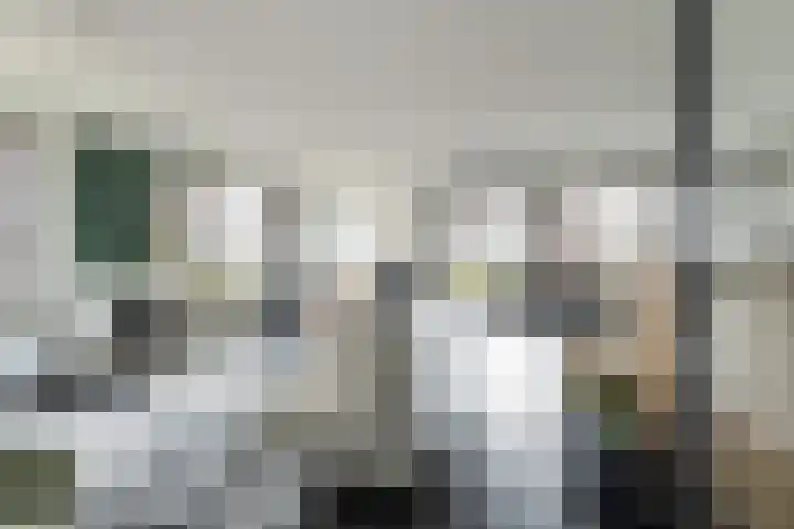 Poelruit 106 Reeuwijk thumbnail 15