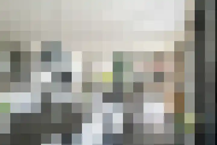 Poelruit 106 Reeuwijk thumbnail 22
