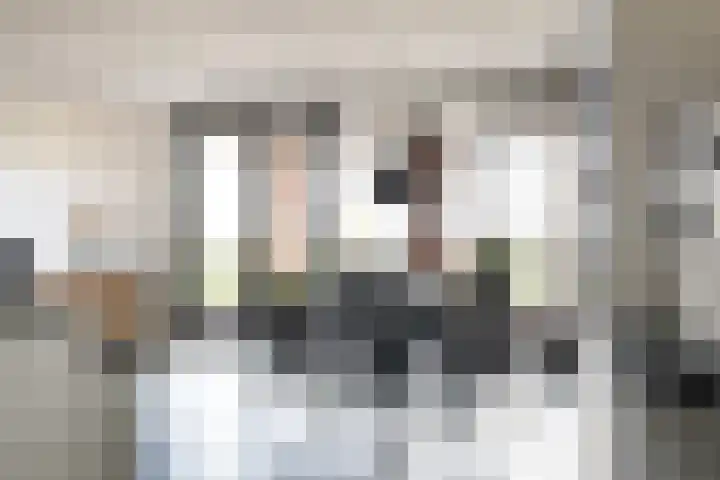 Poelruit 106 Reeuwijk thumbnail 23