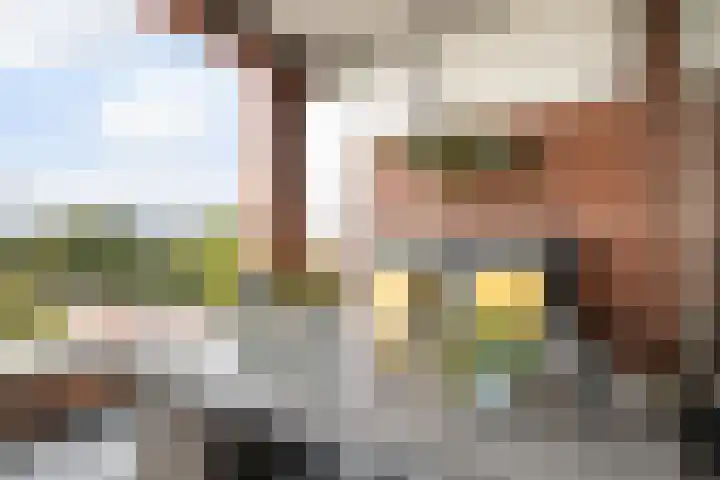 Poelruit 106 Reeuwijk thumbnail 34