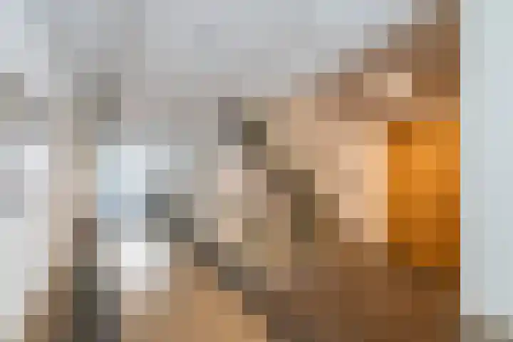 Poelruit 106 Reeuwijk thumbnail 47