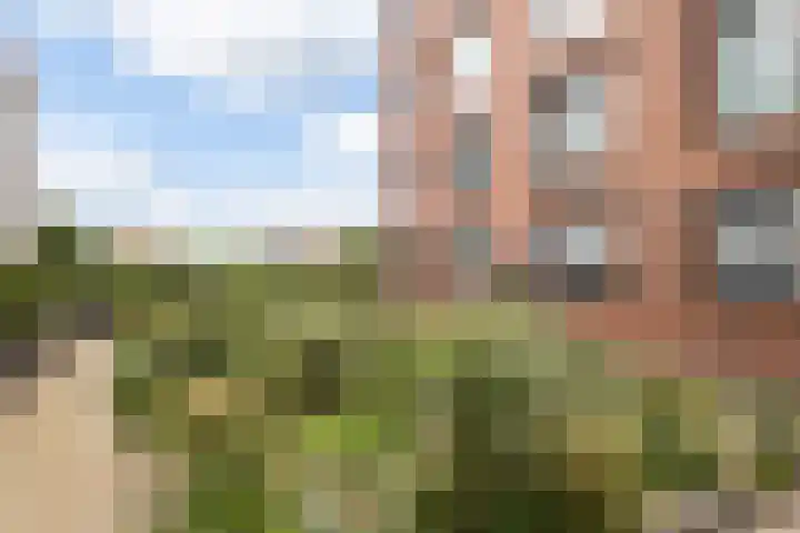 Poelruit 106 Reeuwijk thumbnail 51