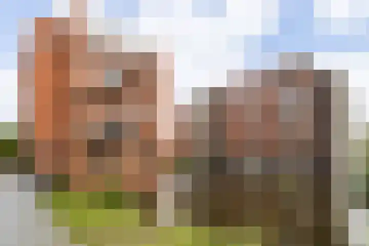Poelruit 106 Reeuwijk thumbnail 52