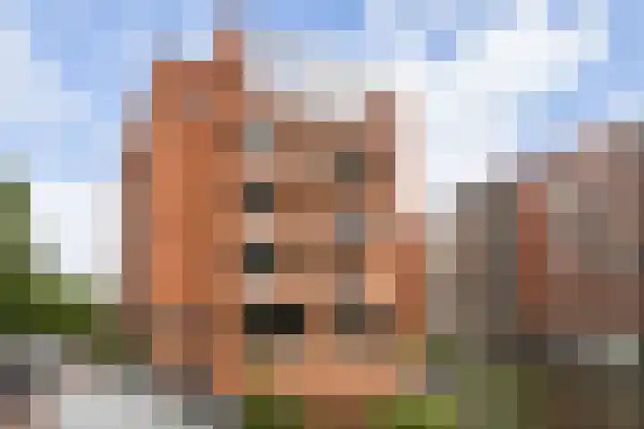 Poelruit 106 Reeuwijk thumbnail 57