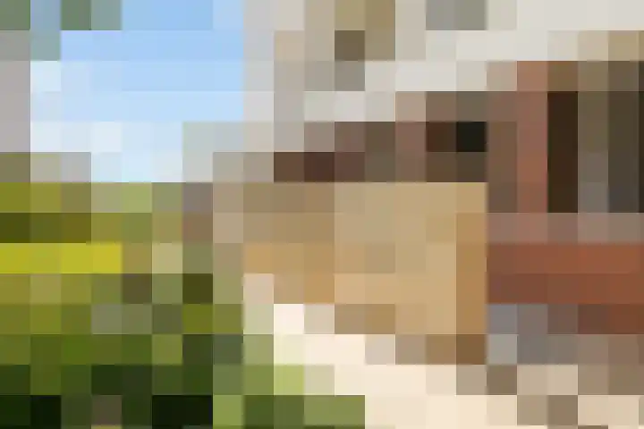 Poelruit 106 Reeuwijk thumbnail 7