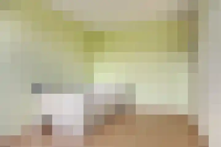 Poelruit 6 Boskoop thumbnail 13