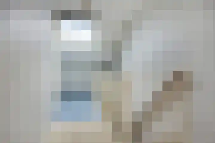 Poelruit 6 Boskoop thumbnail 18