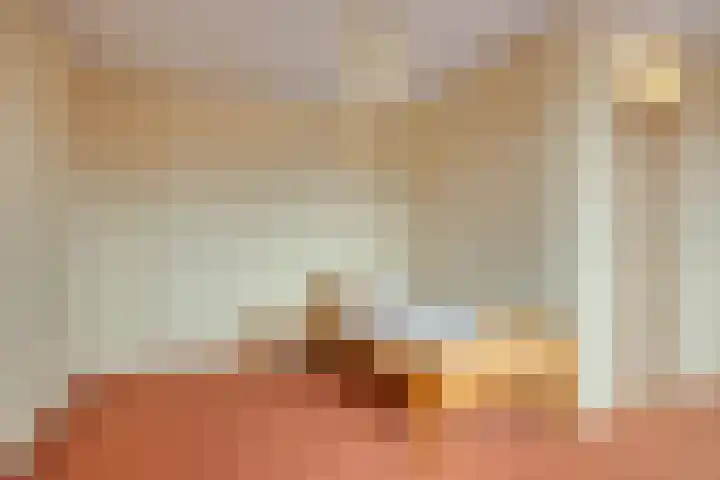 Poelruit 6 Boskoop thumbnail 19