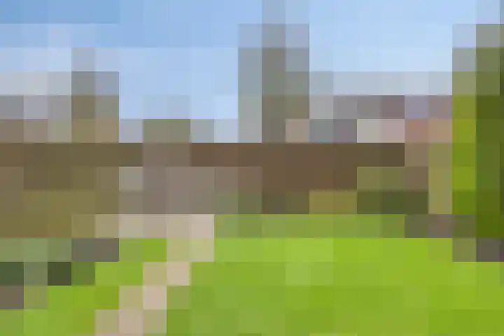 Poelruit 6 Boskoop thumbnail 23