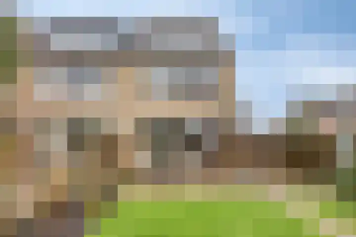 Poelruit 6 Boskoop thumbnail 24