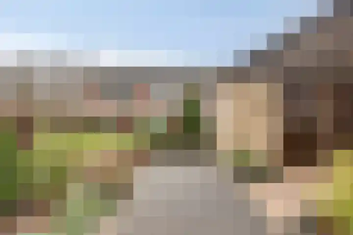 Poelruit 6 Boskoop thumbnail 25