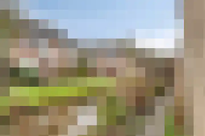 Poelruit 6 Boskoop thumbnail 26