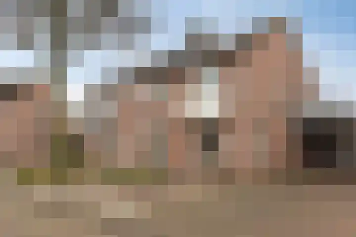 Poelsnip 10 in Budel-Schoot