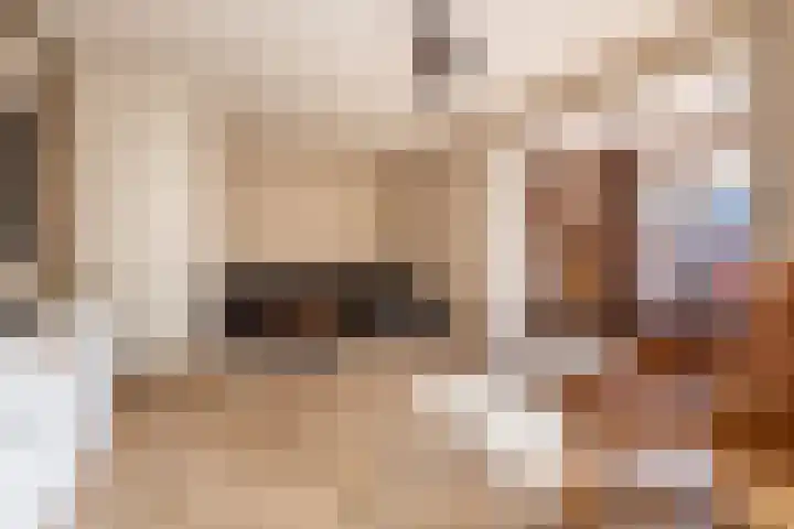 Pol 110 Ulft thumbnail 16