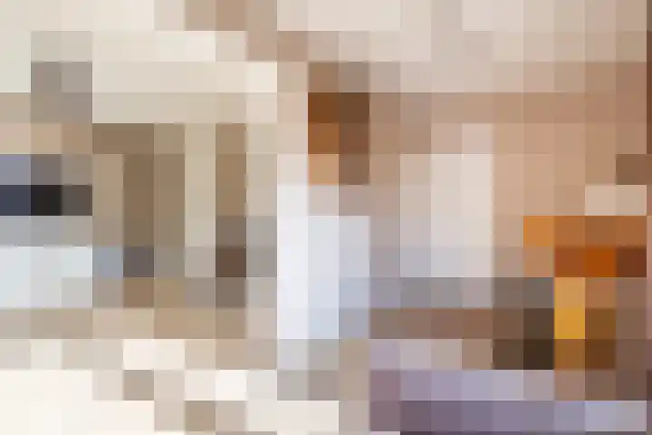 Pol 110 Ulft thumbnail 17