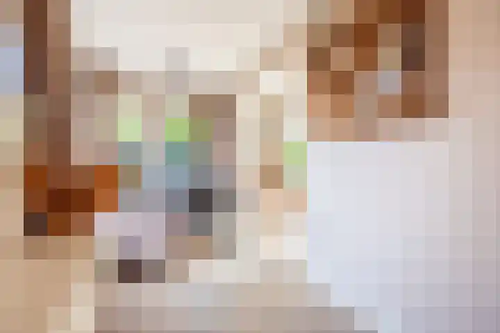 Pol 110 Ulft thumbnail 18