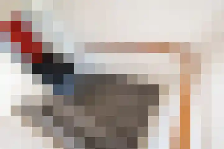 Pol 110 Ulft thumbnail 21