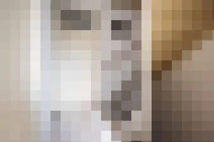 Pol 110 Ulft thumbnail 22