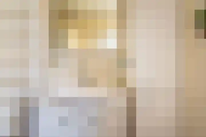 Pol 110 Ulft thumbnail 26