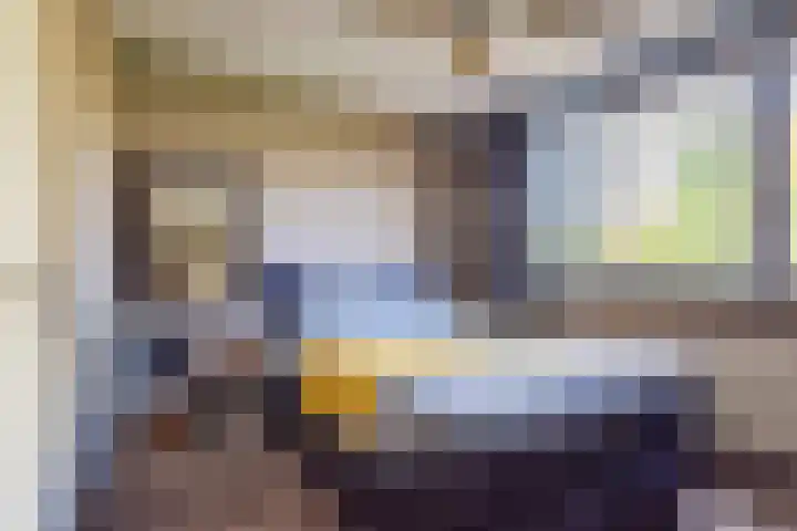 Pol 110 Ulft thumbnail 29