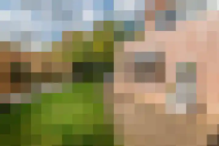 Pol 110 Ulft thumbnail 36