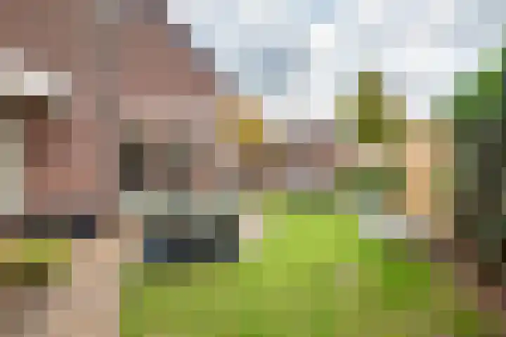 Pol 110 Ulft thumbnail 37