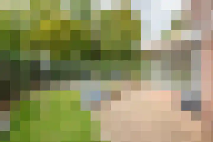Pol 110 Ulft thumbnail 38