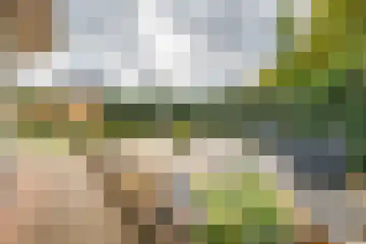 Pol 110 Ulft thumbnail 39