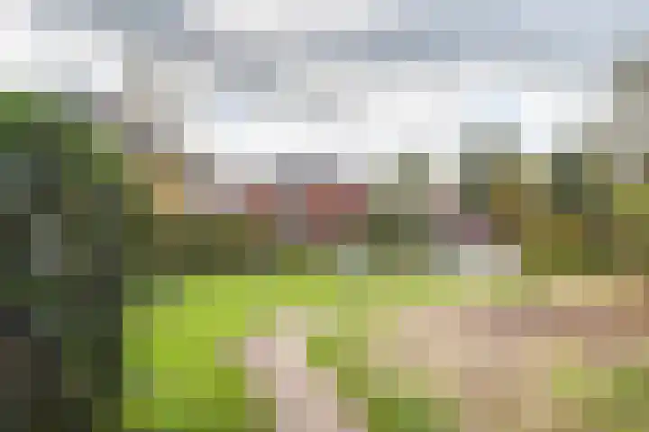 Pol 110 Ulft thumbnail 42