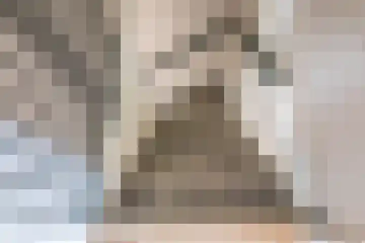 Pol 69 Ulft thumbnail 19
